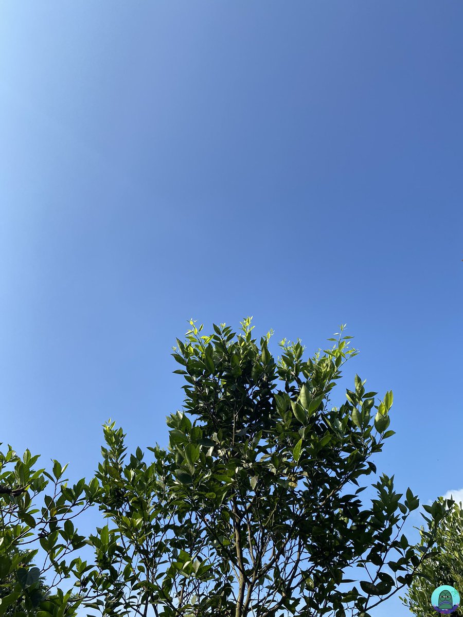 Tanyarl 💚 tweet media