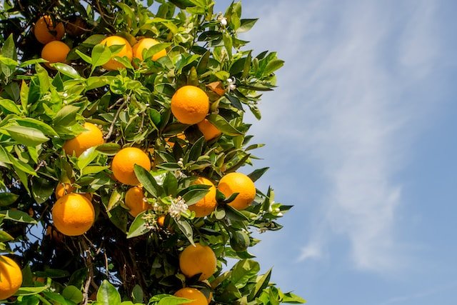 Wat zorgt er voor een broodnodige dosis arbeidsvitaminen? Juist: het Vakjournaal! 

In deze editie lees je onder meer over de AI-vangrails van het ANP, hoe TikTok het de journalistiek lastig maakt en hoe steeds meer media hun publiek vinden via LinkedIn.

buff.ly/3LthdQs