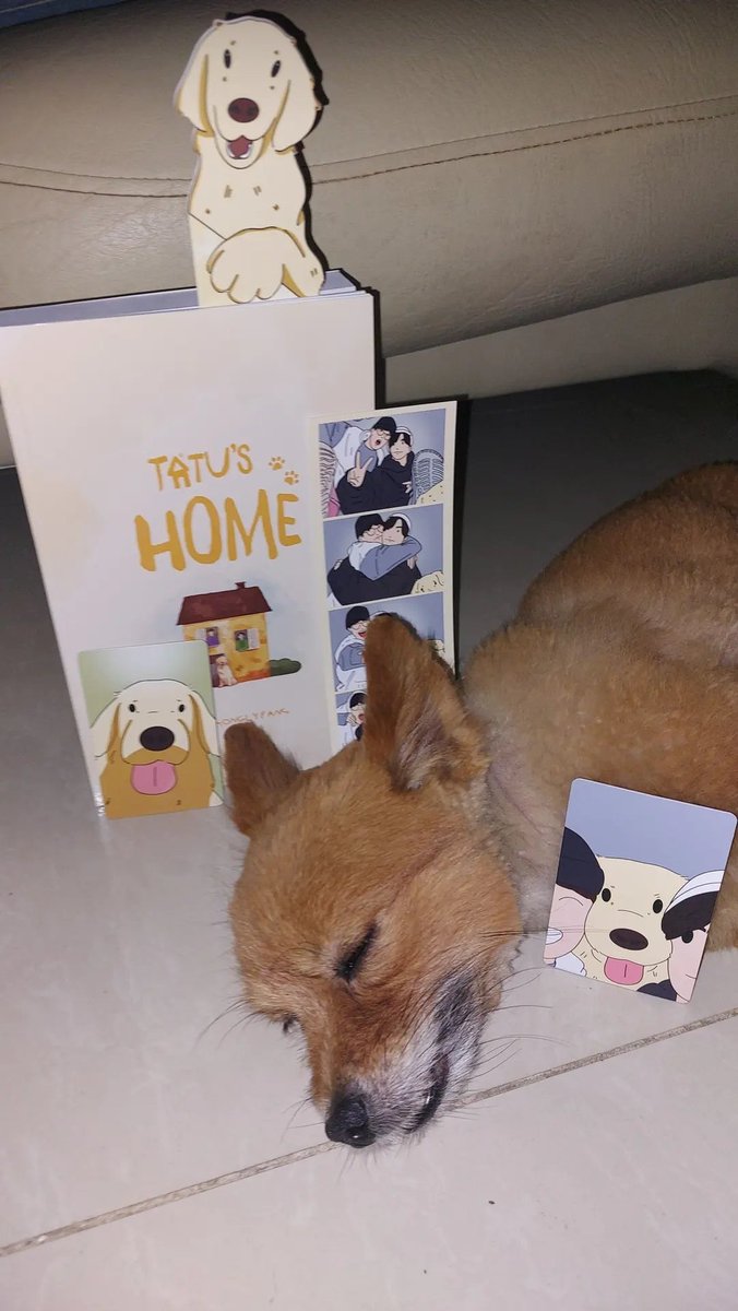 markwan_basket's tweet photo. 💌 — #TatuIsHome

OMGG IT'S HEREE ✧⁠\⁠(⁠>⁠o⁠<⁠)⁠ﾉ⁠✧ thank you so much for this @shuahonglycart @shuahonglyfans tatu's home really gives me serotonin everytime i read it 😭💗

(sana playmates sila ni tatu sa panaginip niya) https://t.co/wLuE5Td75u