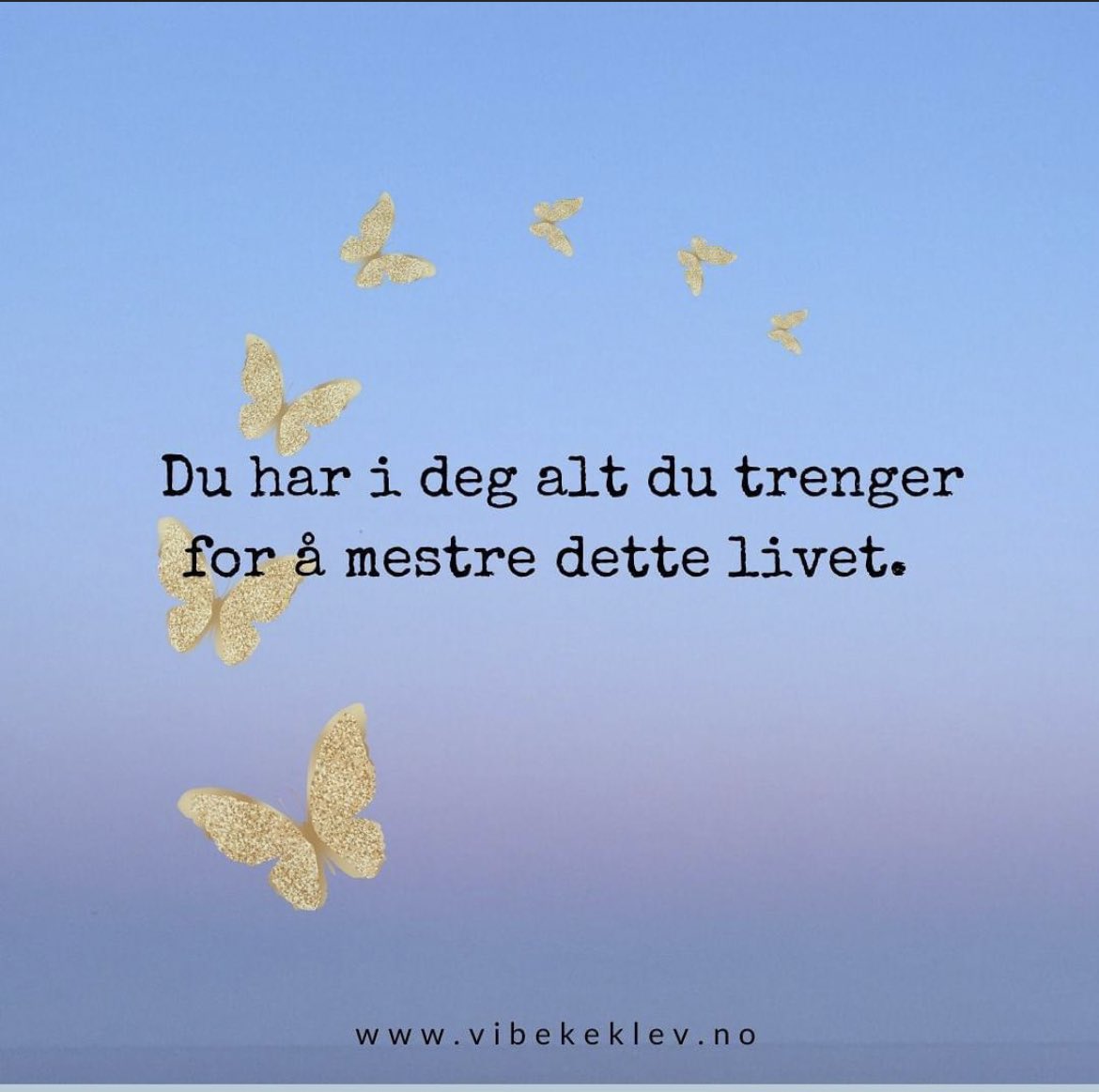 Mette So Yun Sørensen tweet media