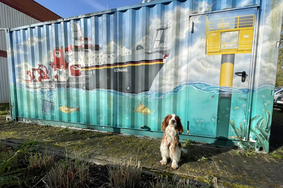 oliverlindecke's tweet photo. Good morning from Campus Wechloy @UniOldenburg @ICBM_uol @BMBF_Bund #CeltOnCampus #labdogs https://t.co/5HcCRY8ZX2