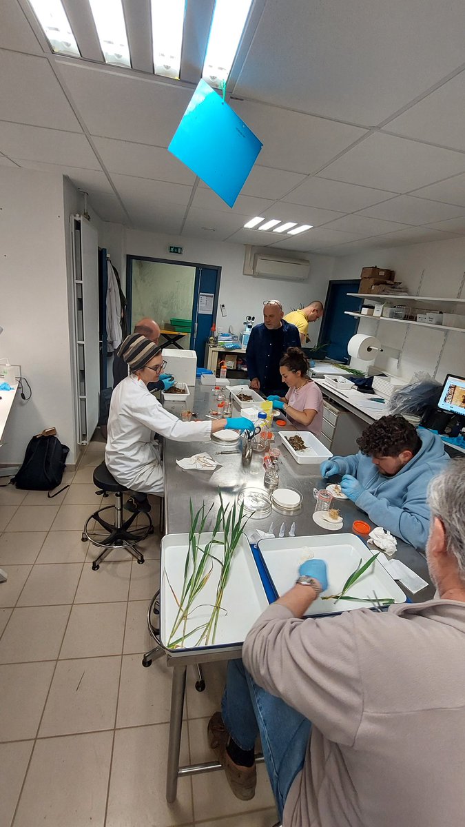 Stéphane CORDEAU tweet media