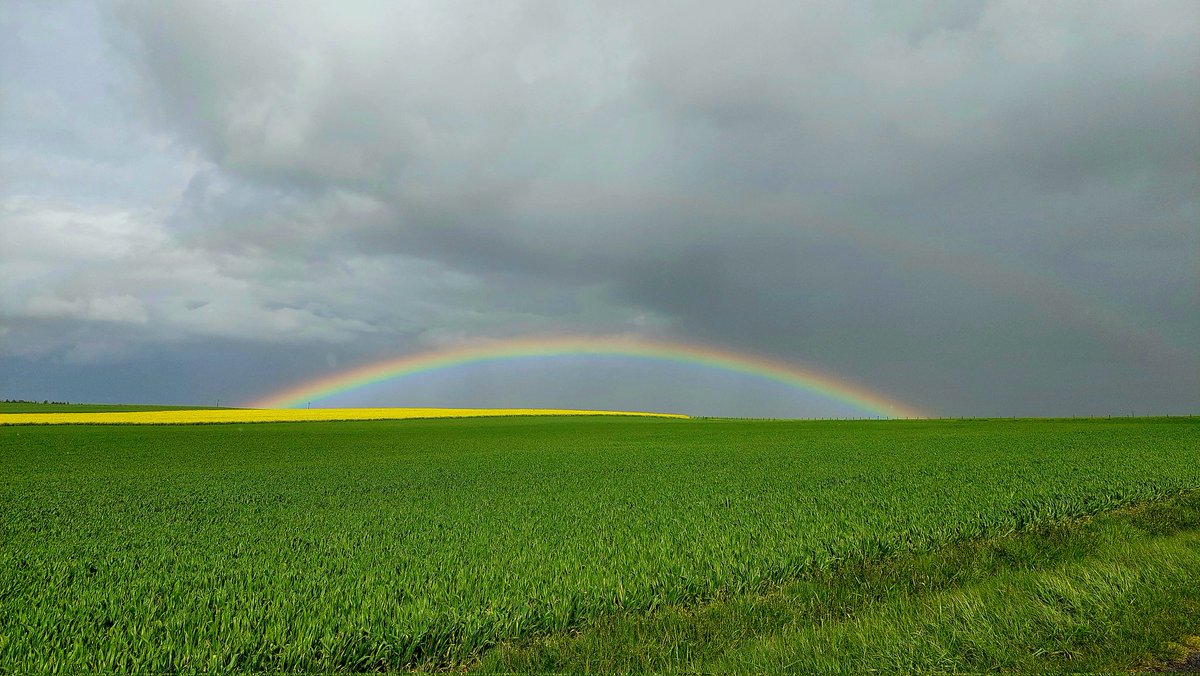 Stéphane CORDEAU tweet media