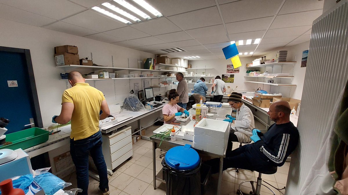 Stéphane CORDEAU (@scordeau_inra) on Twitter photo Toujours à fond dans les #blés du <a href="/pprdeepimpact/">DeepImpact</a> <a href="/PPR_CPA/">PPR Cultiver et Protéger Autrement</a> pour prélever, diagnostiquer les maladies, ravageurs et adventices et embrayer sur les analyses microbiologiques des sols et plantes.
Ici à <a href="/UMRAgroecologie/">UMRAgroecologie</a> <a href="/INRAE_GenoSol/">GenoSol</a> Toujours à fond dans les #blés du <a href="/pprdeepimpact/">DeepImpact</a> <a href="/PPR_CPA/">PPR Cultiver et Protéger Autrement</a> pour prélever, diagnostiquer les maladies, ravageurs et adventices et embrayer sur les analyses microbiologiques des sols et plantes.
Ici à <a href="/UMRAgroecologie/">UMRAgroecologie</a> <a href="/INRAE_GenoSol/">GenoSol</a>