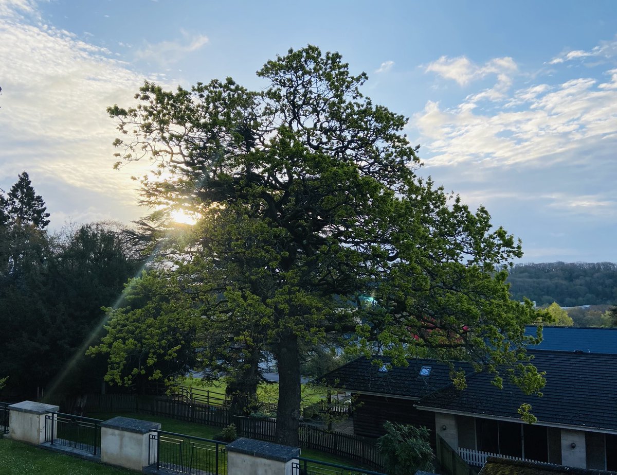 Beautiful sunrise over ⁦<a href="/TheCelticManor/">Celtic Manor Resort</a>⁩ - excited to speak at ⁦<a href="/ICCWales/">ICCWales</a>⁩ in #Unleash2023 - unleashing ambition and good growth