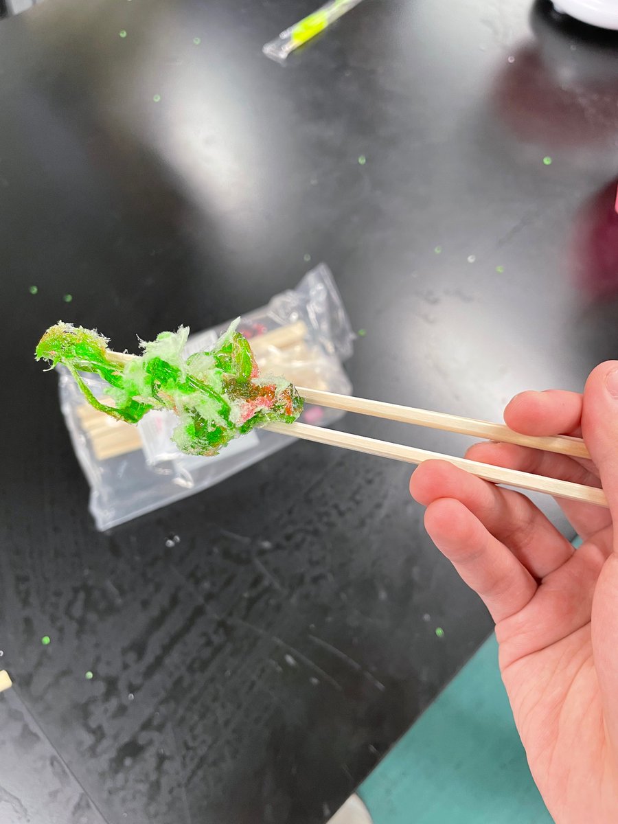 chemist16392's tweet photo. なんか、綿あめ大会やってます。
二枚目(   ᐕ)ﾅﾆコレ https://t.co/9FNdWIFLCP