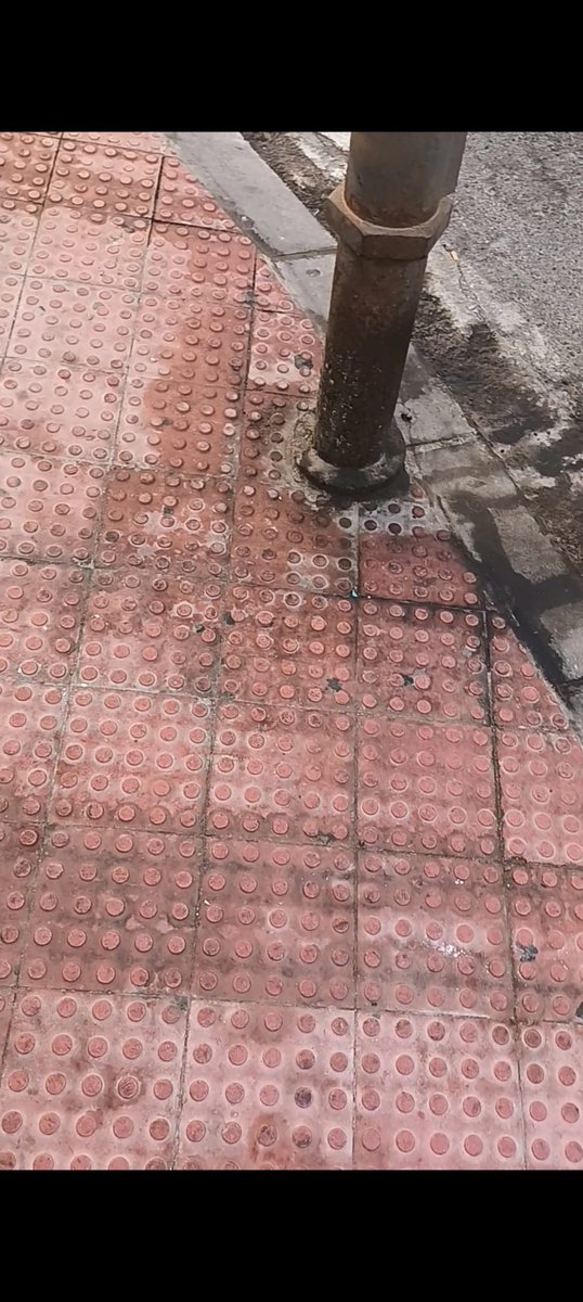 MatiasEcheve's tweet photo. Esto es lo que todas las mañanas tenemos que pisar yo y mis hijos para ir al colegio, ahora con el calorcito muy rico el olor... esta es la limpieza de que tanto fardamos? @saicalicante @CALalicante @alicanteayto @TuHacesAlicante https://t.co/XzYwUO0h8r