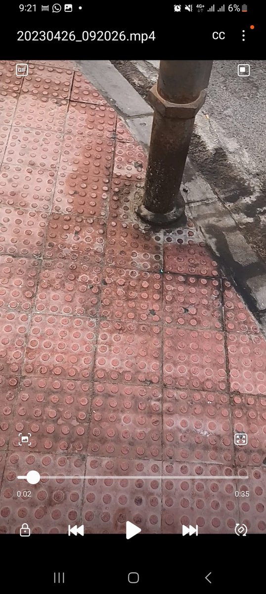 MatiasEcheve's tweet photo. Esto es lo que todas las mañanas tenemos que pisar yo y mis hijos para ir al colegio, ahora con el calorcito muy rico el olor... esta es la limpieza de que tanto fardamos? @saicalicante @CALalicante @alicanteayto @TuHacesAlicante https://t.co/XzYwUO0h8r