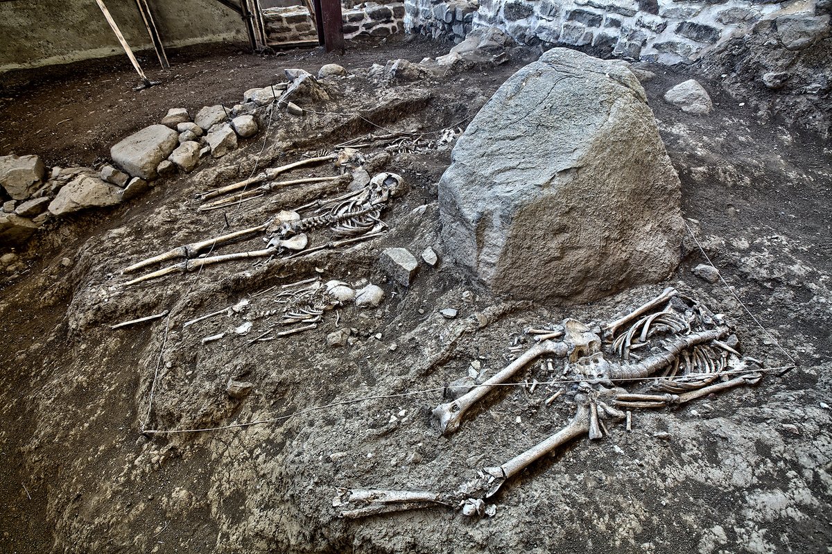 CentrosCant's tweet image. Si visitas el #arqueositio cántabro-romano de Camesa-Rebolledo conocerás más de cerca la distribución que tenía una villa romana y cómo eran las necrópolis #visigodas y #medievales

🎟Reservas en nuestra web centros.culturadecantabria.com/arqueositio/