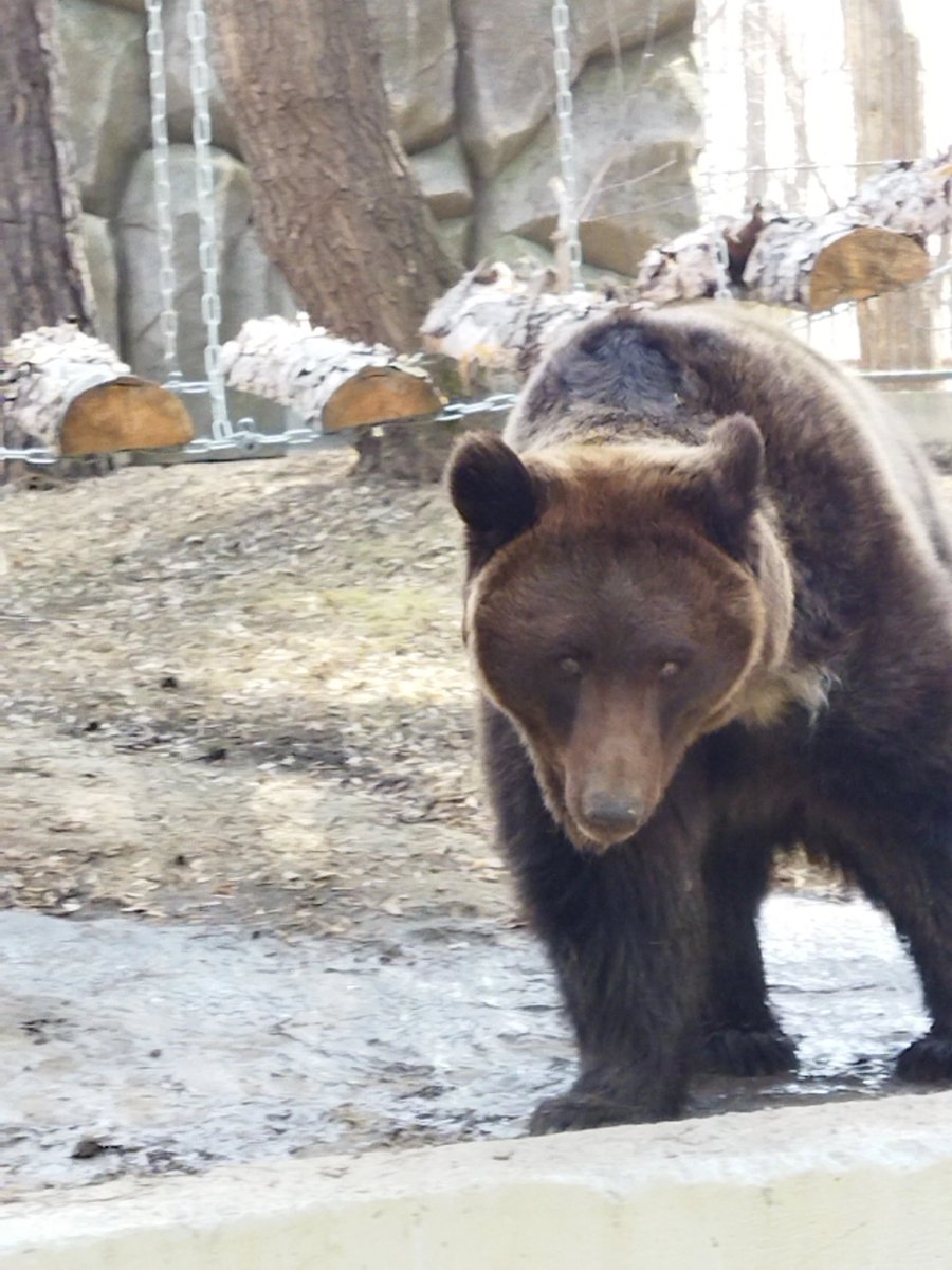 Panda_KNK's tweet photo. Прекрасный Новосибирск https://t.co/Ef9bNQMZie