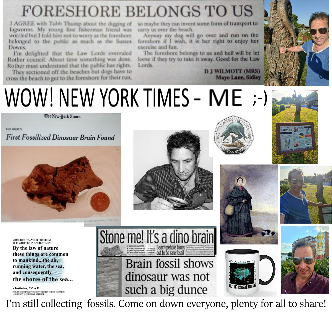 Jamie Hiscocks 🦖🏛⚖ tweet media