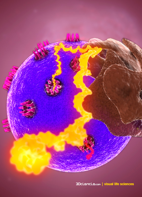 3dciencia's tweet photo. @brionesci Jajaja Tan en todos lados está el #ARN que la vida ha puesto RNAsas por todo lados para pararlo. El #RNA tiene más dias que el #DNADay23, como el 13 de mayo día del ARNm mensajero https://t.co/lUsZpaXUk4