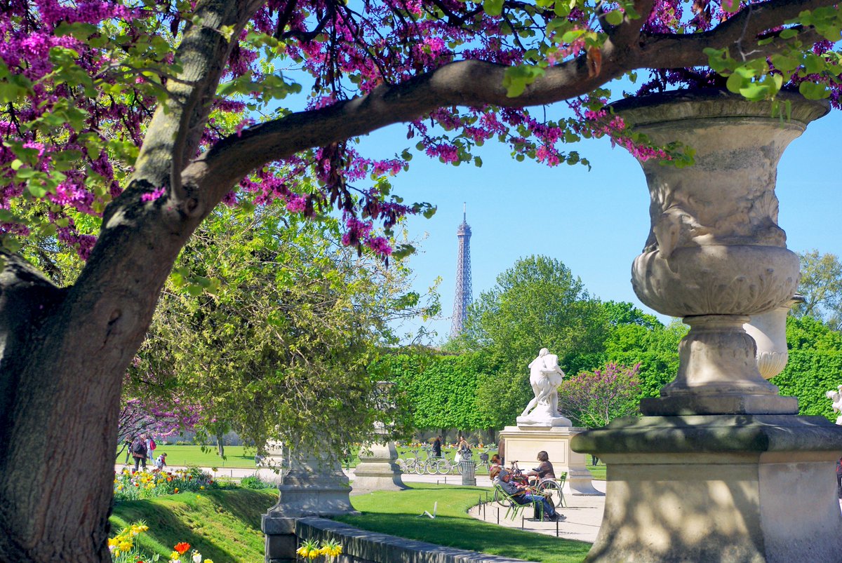 French_Moments's tweet photo. Spring in Paris looks like this... 🌸
Our tips for enjoying Paris in the spring > https://t.co/Sk09TjFUFW
.
.
.
#SpringinParis #EnFranceAussi #VisitParisRegion #ExploreFrance #FrenchMoments https://t.co/2TMoKWgwtd
