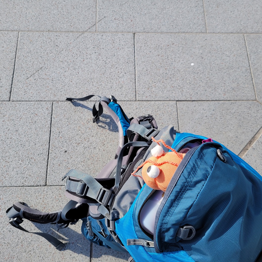 projektshrimp's tweet photo. 🦐Shrimpy per @DB_Bahn auf dem Weg nach Berlin zum #UFFestival 2023. Wir sind schon ganz gespannt 😀 #SocialHypertext #projektSHRIMP https://t.co/UJuCagj8Yj