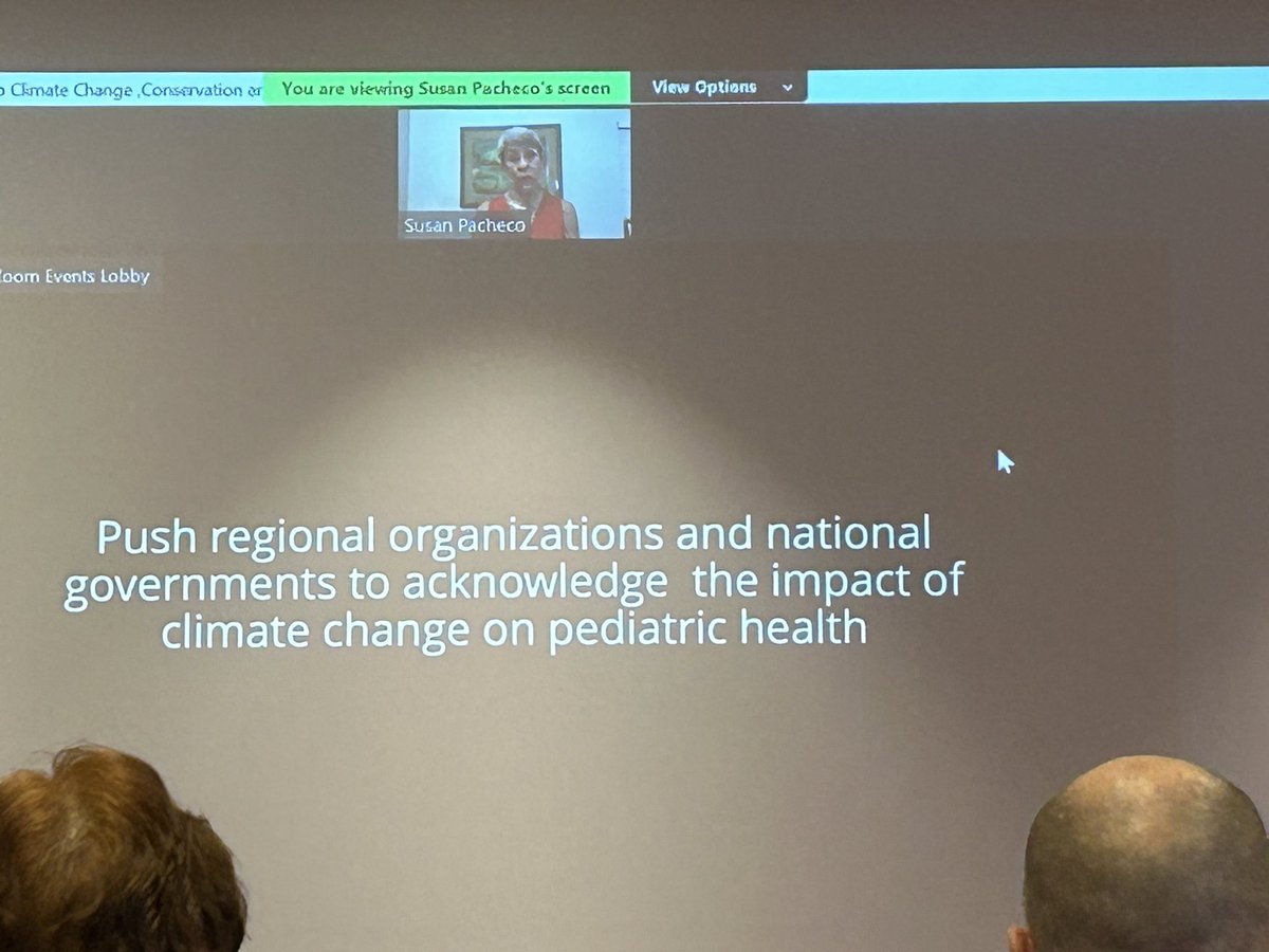 drlopo's tweet photo. What can we do as paediatric health care providers regarding the #ClimateCrisis @Kenyapaeds @AAPGlobalHealth @IssopOrg @acopphe #kpascicon2023 https://t.co/3Zmtw5eLPr