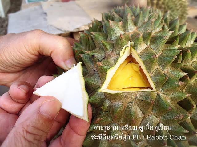 ชื่อหยวก​ นามสกุลกล้วย tweet media