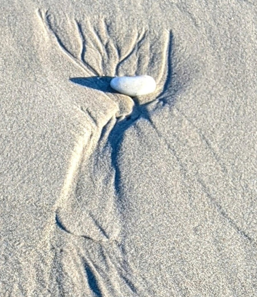 This is what language is:
a habitable grief. A turn of speech
for the everyday and ordinary abrasion
of losses such as this

which hurts
just enough to be a scar.

And heals just enough to be a nation

– A Habitable Grief
Eavan Boland