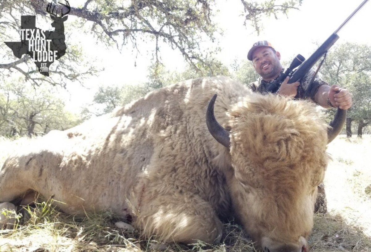 LakotaMan1's tweet image. This is why we never ever disclose the locations of our sacred white animals.