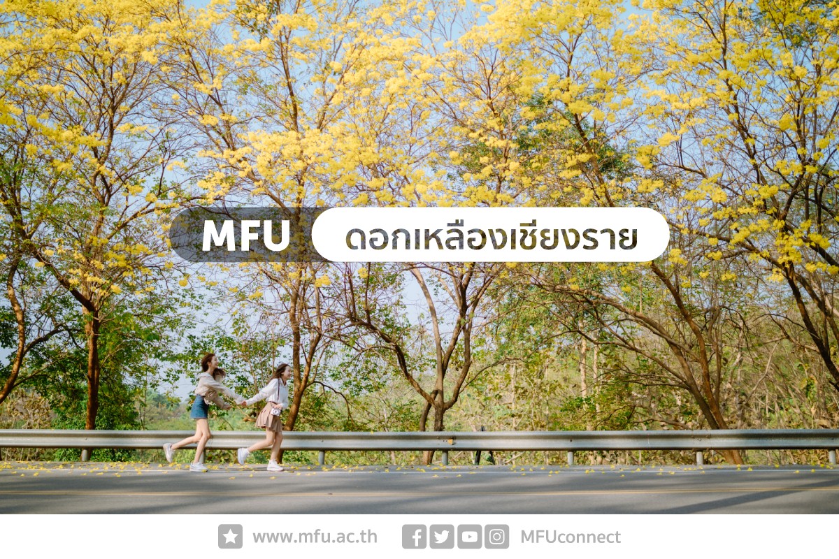 Admission MFU tweet media