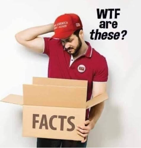 BethFrank's tweet photo. @Sam694life @4HumanUnity @RepMTG You can't talk facts to the #DefeatedFormerPresident supporters. They don't measure his success by what he does for them, they measure by what he does against the people they don't like. This is why they will never abandon him. https://t.co/rcqxsE5a7K