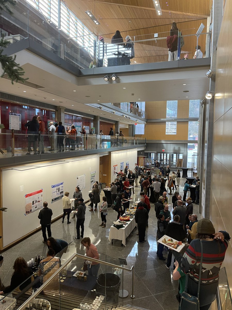 Alexandra Ávila L, tweet media