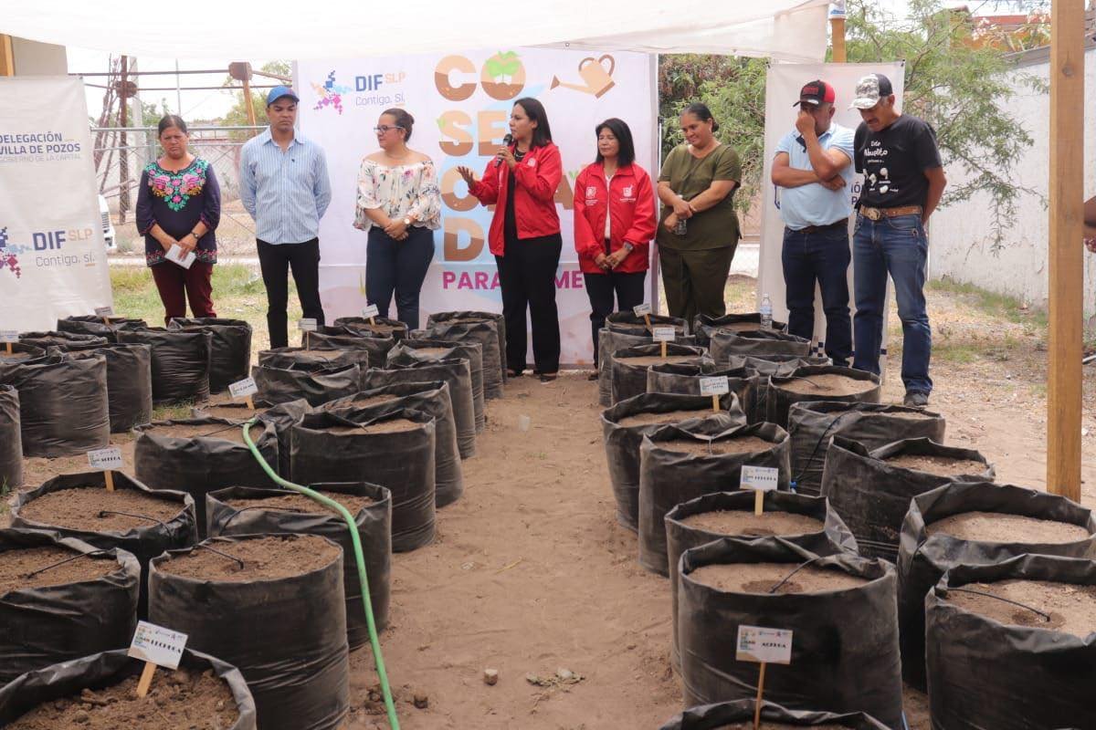 DIFMunicipalSLP's tweet photo. Este martes, la Directora del DIF Municipal, Jessica Albarrán Ramírez, a nombre de la Presidenta de la institución, Estela Ariaga Márquez, inauguró como parte del programa “Cosechando para tu mesa”, el huerto número 13 en la comunidad de Jassos en la delegación de Villa de Pozos. https://t.co/aOxvlIrUpm