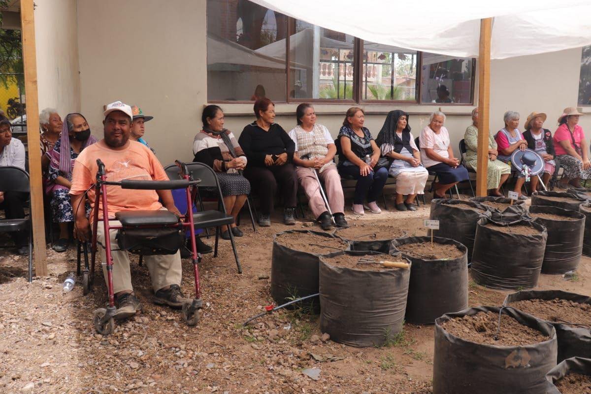 DIFMunicipalSLP's tweet photo. Este martes, la Directora del DIF Municipal, Jessica Albarrán Ramírez, a nombre de la Presidenta de la institución, Estela Ariaga Márquez, inauguró como parte del programa “Cosechando para tu mesa”, el huerto número 13 en la comunidad de Jassos en la delegación de Villa de Pozos. https://t.co/aOxvlIrUpm