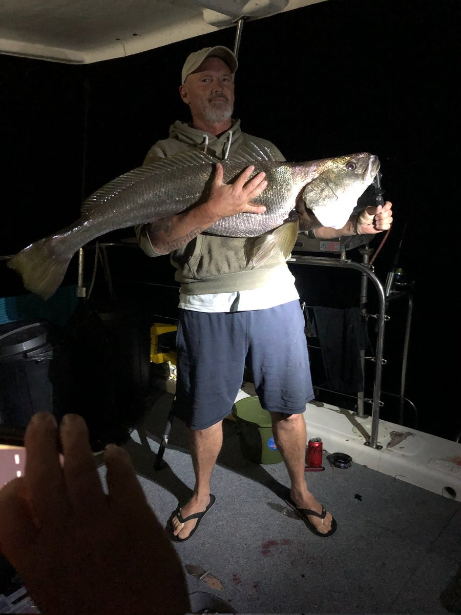 crackadrink's tweet photo. #jewfish ##mulloway #lakemacquarie 111 cm jewfish on a slab of tailor https://t.co/1Xe4Nm6kyk