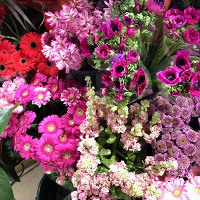 Devon_Wellbeing's tweet photo. #NewProfilePic https://t.co/azwf3e37Ve