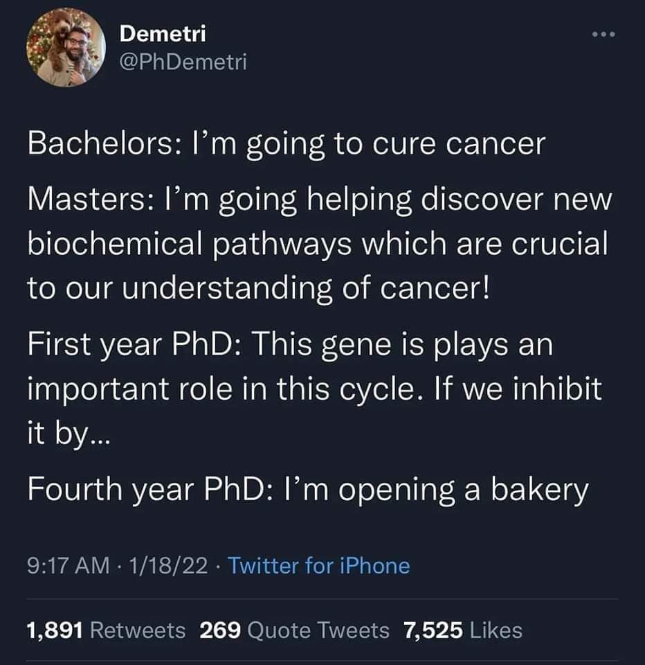 TheThirdDegree2's tweet photo. #TheThirdDegree is here to ensure you finish your PhD before opening that bakery! #PhDHumour #WeAreHereToHelp https://t.co/BTtDCsgrpj