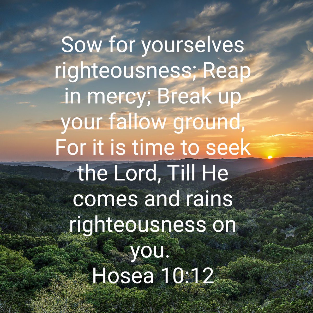zackwangi's tweet photo. Sow for yourselves righteousness; Reap in mercy; Break up your fallow ground, For it is time to seek the Lord, Till He comes and rains righteousness on you.
Hosea 10:12 NKJV https://t.co/zLBlBvRXYt