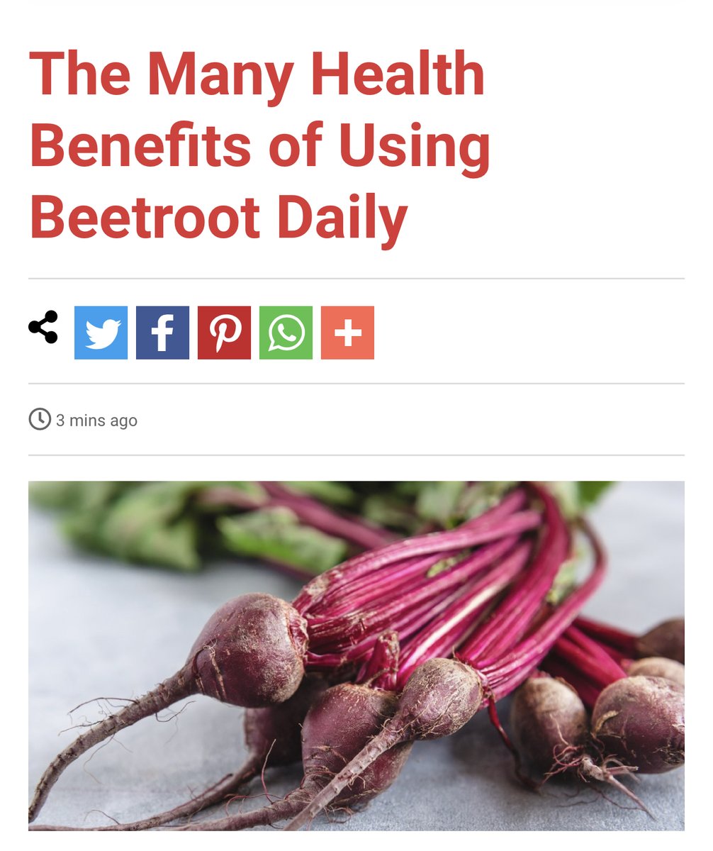 basenjimomcom's tweet photo. RT @ironmagazine: The Many Health Benefits of Using Beetroot Daily

👉 Read more here 👇
👉 https://t.co/us0sJ49q0d

#beetroots #healthyeats #benefitsofbeetroot #gooddiet #vegetables #ironmagazine https://t.co/En55XrVSko