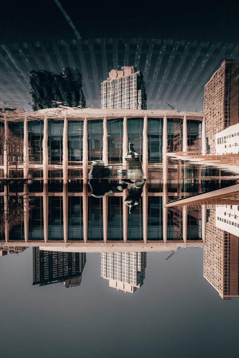 Somewhat Creative Photo tweet media