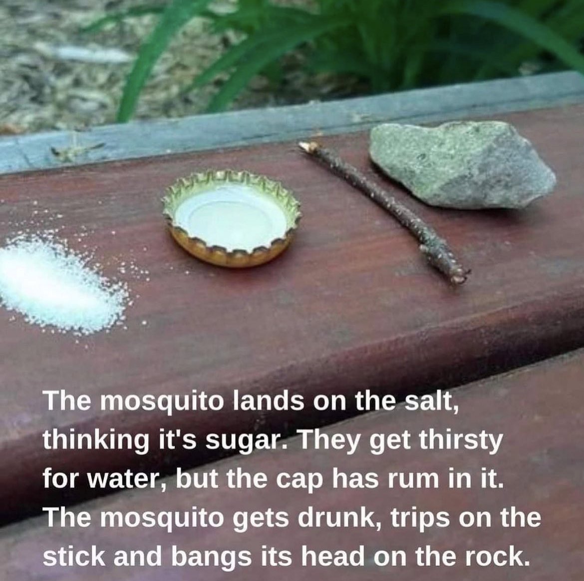 EnronChairman's tweet photo. You: “How high are you?”

Me making a mosquito trap: https://t.co/NIef5ohpCq