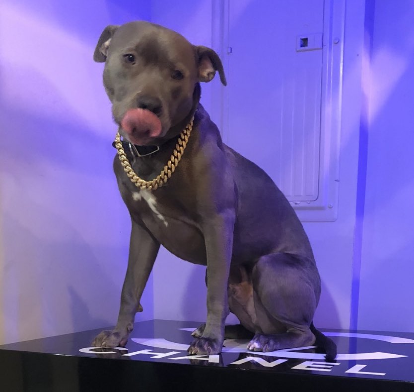 When she got low self esteem and daddy issues