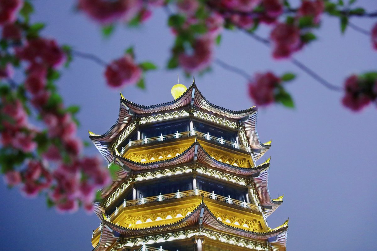 DiscoverGuizhou's tweet image. It's upon May!5⃣🈷️ Remember to keep the LAST spring-flower rendezvous with #Bijie when the Zhijin Tower🏯 is brightly adorned by the the blooming blossoms!🌸🌸🌸#Guizhou #SpringinChina #FlowersinGuizhou