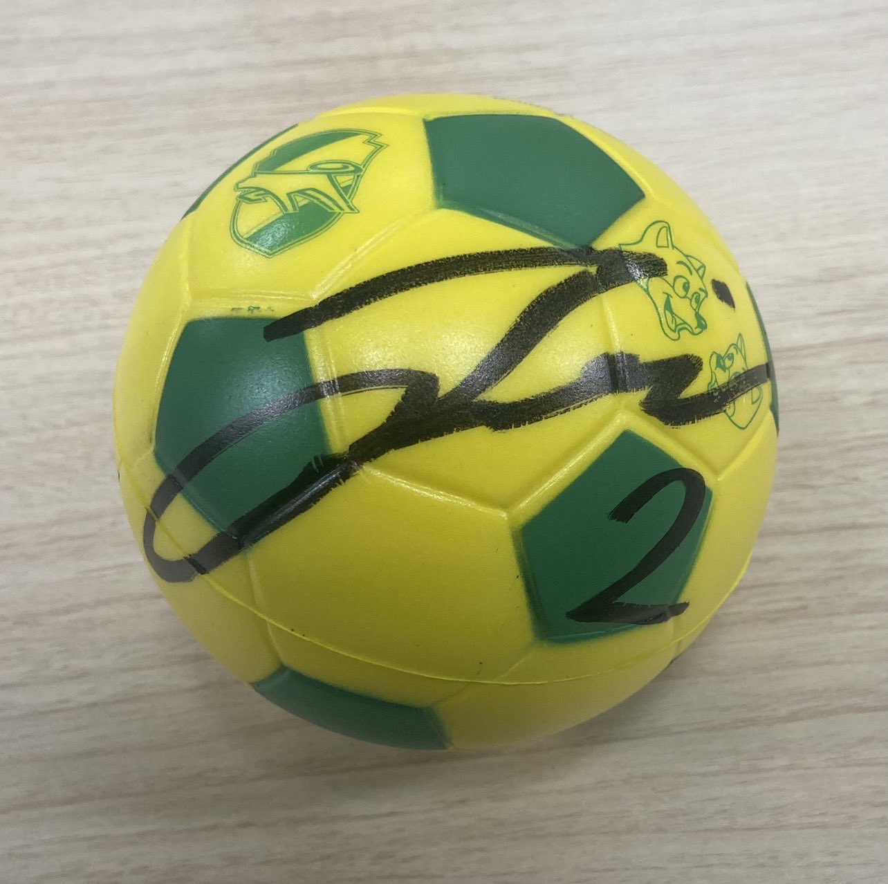 【ターゲット】KYANITE(カイヤナイト) 風間佑太選手モデル プレイヤー - TARGET SPORTS JAPAN