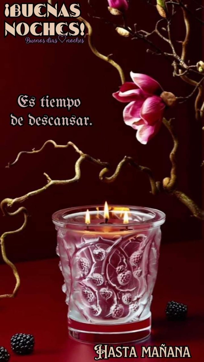 Margarita Isabel (@margari_isabel) on Twitter photo 