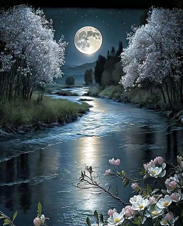 #VenezuelaTerritorioDePaz
Buenas noches,tengan un feliz descanso hasta mañana bendiciones 
🌠🌠🌠🌠🌠🌠🌠🌠🌠🌠🌠🌠