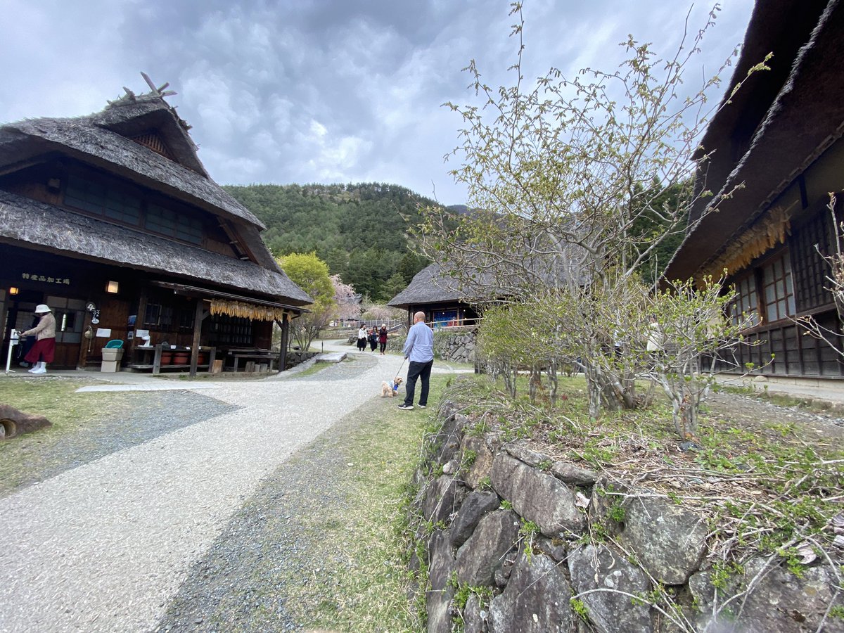 jin_tano's tweet photo. 神奈川は、今日は、大雨です💧昨日まで2泊で山梨旅に行って来ました。
雨降らなくてよかった😅 https://t.co/rTMiFtMvcN