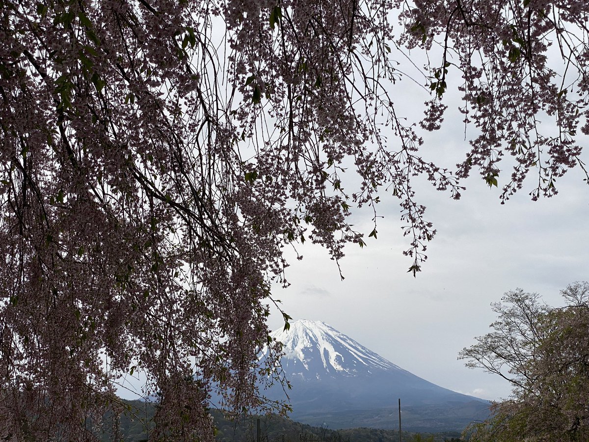 jin_tano's tweet photo. 神奈川は、今日は、大雨です💧昨日まで2泊で山梨旅に行って来ました。
雨降らなくてよかった😅 https://t.co/rTMiFtMvcN