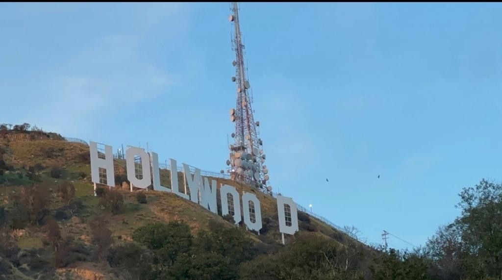 Zorba Group tweet media