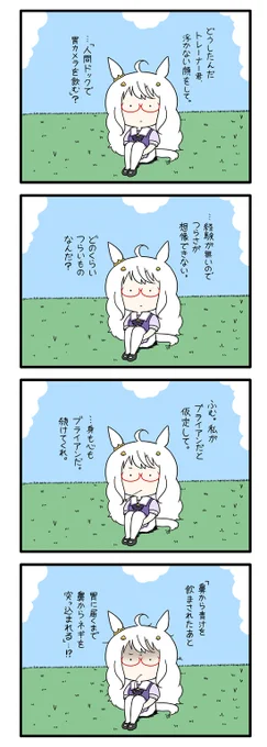 ハヤヒデサン 117 
