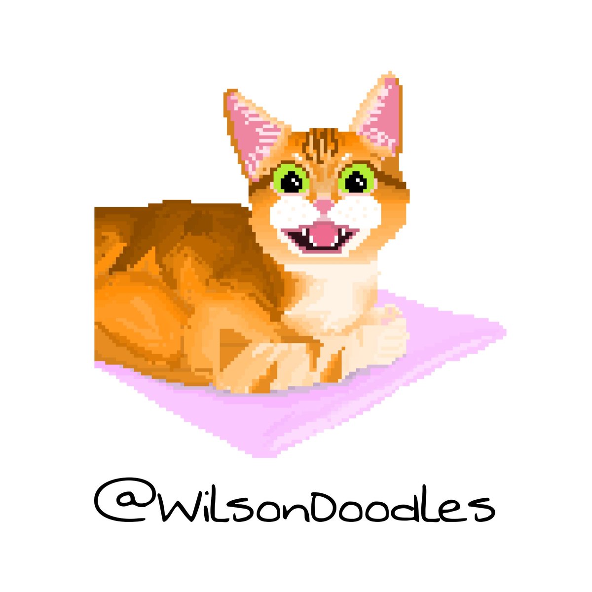 WilsonDoodles's tweet photo. Feliz
🧡 https://t.co/clsk5W0uvs