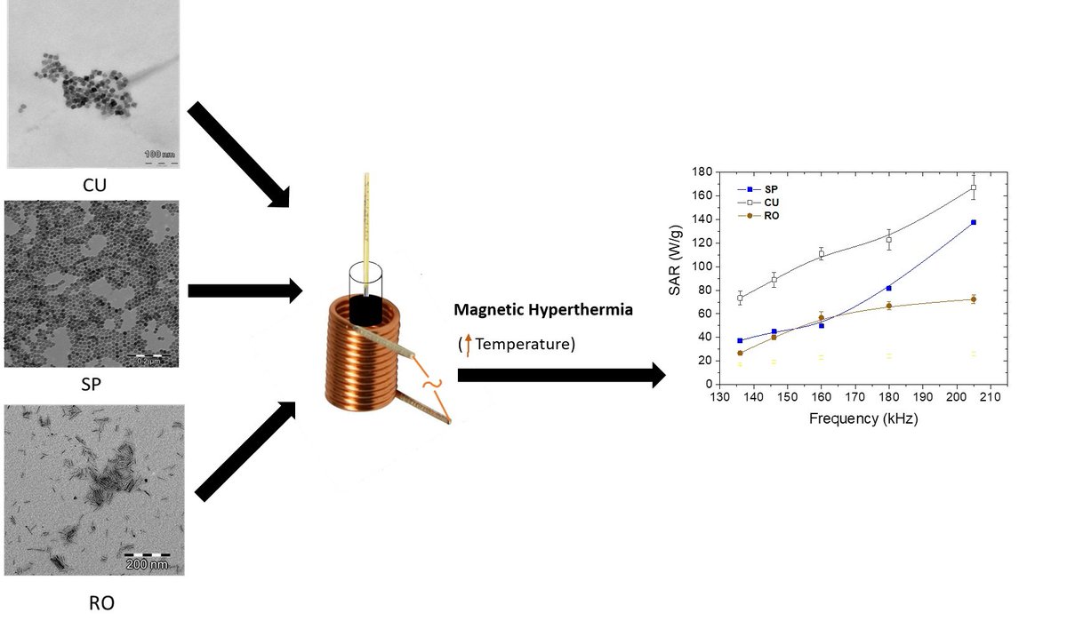Nano_MDPI's tweet photo. 🔔 Highly Cited Paper in 2021
📜 Modulation of the #Magnetic Hyperthermia Response Using Different #Superparamagnetic Iron Oxide #Nanoparticle Morphologies
🔗 Read more: https://t.co/5mafGoKRpI https://t.co/0EZ4WNphO9