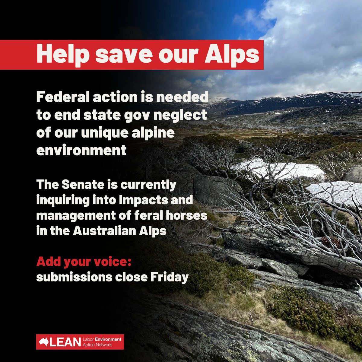 LEANAustralia's tweet photo. Just 2 days left to help save threatened species in our Alps. 

@tanya_plibersek has said she is watching this Senate inquiry closely. Your personal submission by FIRDAY will help push Fed + State governments to act. 

@ISCAustralia has a easy guide here: https://t.co/4H8CXlVw3N https://t.co/8MObxz42gq