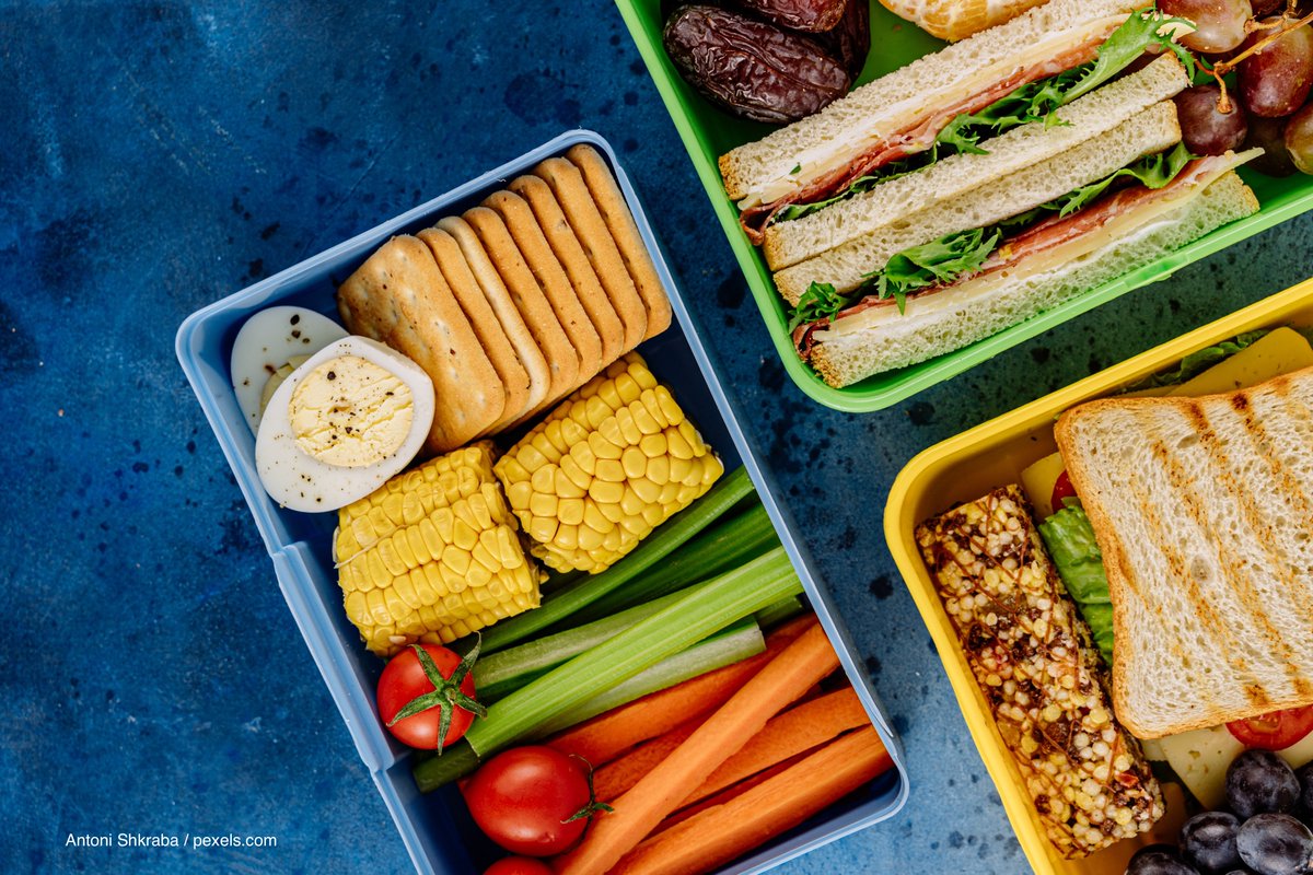It's back to school and back to lunchboxes. This latest article explores new models to support parents to pack healthy choices. bit.ly/3mZkgXh #publichealth