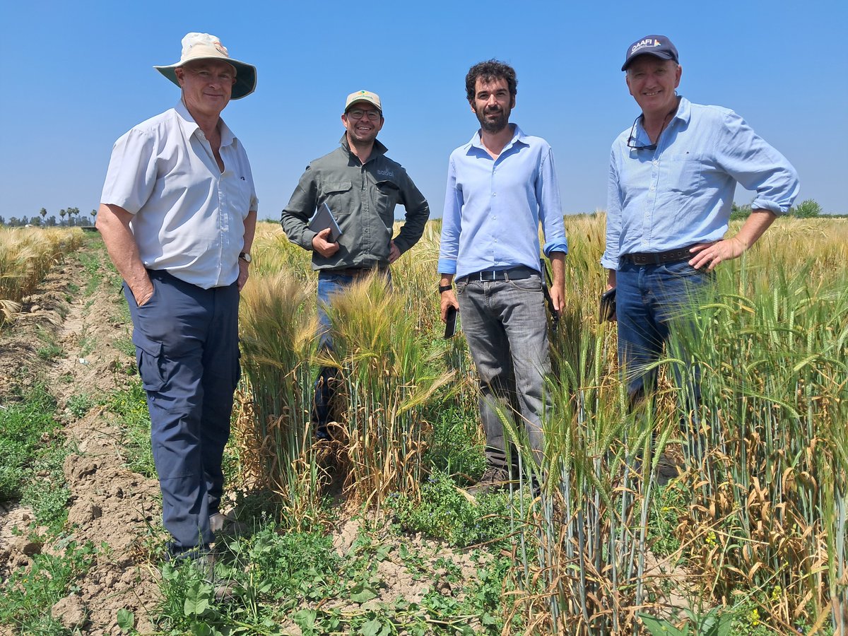 caigeproject's tweet photo. @ICARDA, Morocco- CAIGE Barley tour 16th-21th April https://t.co/uA7rquKKir