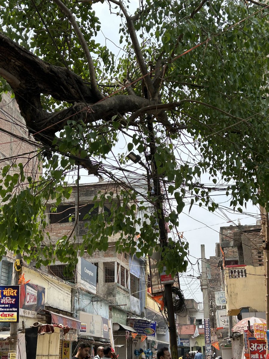 rohan1409's tweet photo. बिजली विभाग खगड़िया को बहुत बार जानकारी देने के बाद भी एक हफ्ते से एक पेड़ की तहनी बिजली की पोल पर लटकी है जो कि कभी भी किसी घटाना को अंजाम दे सकती है। कृपा कर के सही करवाही की जाए तक जान माल का नुक्सान ना हो। ये सागरमल चौक पे लगे बिजली पोल की फोटो @KhagariaDm  @SEVA_NBPDCL https://t.co/N6dFUUtQdA