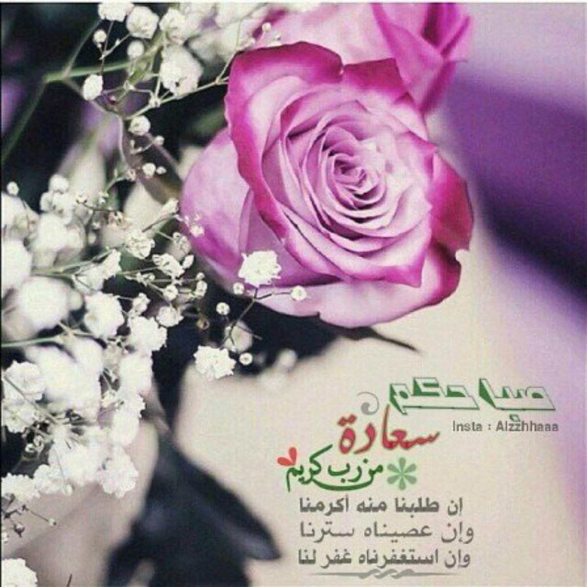 ✨منال✨ tweet media